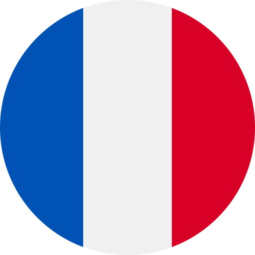 Destination Frankreich Flagge